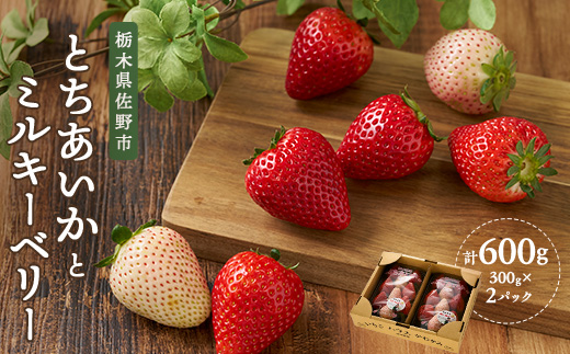 yȖ،szȖ؂̔ ~L[x[ Ƃ MIX@300g×2pbNy1525933z