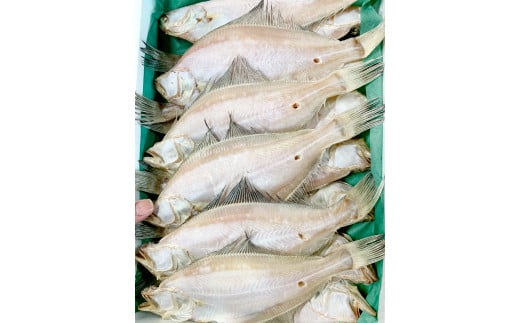 ycszgIJC(U)y JC ꂢ 6   { GeJC JC Y Y g ① mt[Y Gߌ csz