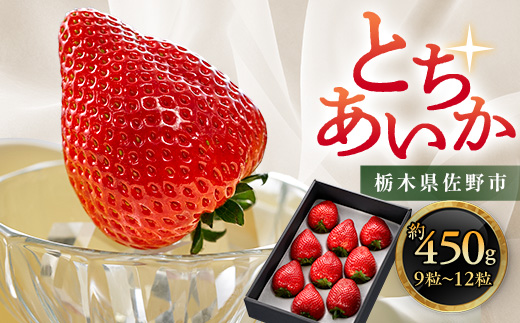 yȖ،szȖ،  Vi큃Ƃ 9`12 450gy1258710z