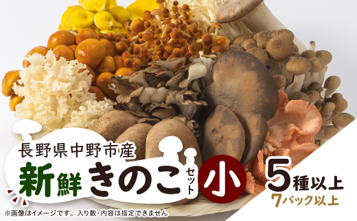 【長野県中野市】キノコでカラダを整える!新鮮きのこ詰め合わせ 小(5種類以上/7パック以上)_ きのこ 詰合せ セット 長野 信州 産地直送 人気 おすすめ 送料無料 お取り寄せ 獲れたて 食べ比