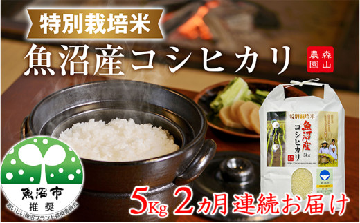 yVsz[5762-0818]2A͂ XR_ʍ͔|ċYRVqJiVF؁j5kg 