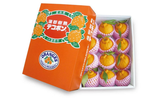 G0004】【期間限定】蒲郡樹熟デコポン 約3kg - 愛知県蒲郡市
