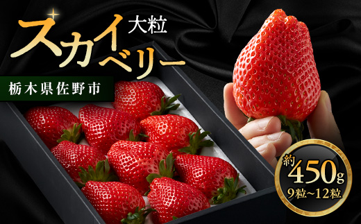 栃木県 いちご 新品種＜スカイベリー＞9粒～12粒 約450g【1258709