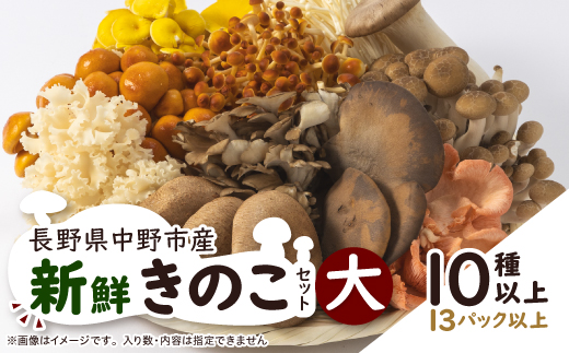 キノコでカラダを整える!新鮮おいしいきのこセット大(10種以上を13