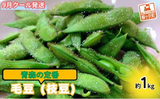 yX˃򒬁zy 2026NY ʌ zX̒ ѓ 1kgy 9 N[֔ zX˃򒬎Y ICς̂  } 嗱 Â݂ Lȍ RN ق 