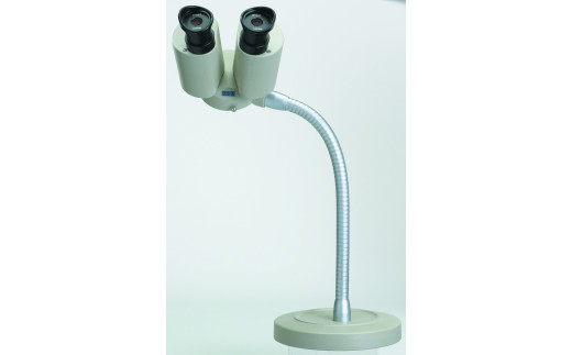 y쌧ɓߎszy195-04ztLVuǒs300V[Y@X^hx[X@16{ |  16{ X^hx[X tLVux ɓߎs 쌧 MB (195-04)
