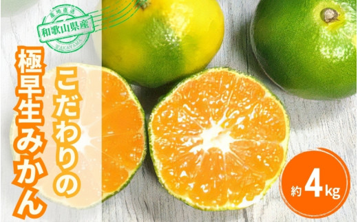 ふるさと納税 和歌山県 新宮市 ＼光センサー選別／ ＼有機質肥料100%／ こだわりの青切りみかん 約3kg サイズ混合 【2024年9月下旬頃より順次発送… ふるさと納税 ＼光センサー選別／ こだわりの有田みかん 約8kg 先行