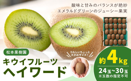 先行予約 キウイフルーツ ヘイワード 約4kg 24玉 ～ 30玉 松本果樹園