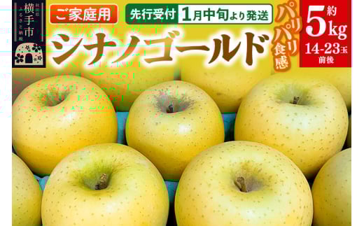 【秋田県横手市】【先行受付】1月中旬より発送 パリパリ食感シナノゴールド ご家庭用 約5kg(14〜23玉前後)