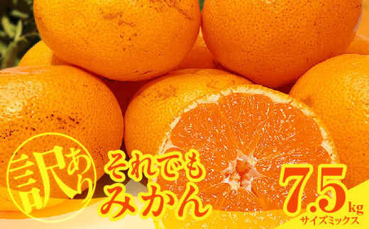 ya̎R󒬁zMK1049_󂠂 ł ݂  7.5kg ( e 6.8kg ) TCY~bNX ai Lc݂ a̎RY Yn ƒpỷ݂z