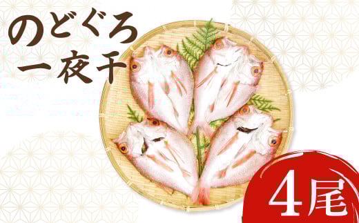 ycszmhO銱SZbgŷǂ銱 ̂ǂ  4 1140`160g Y csY   mhO ̂Ǎ   ^pbN Ⓚz