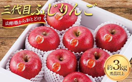 yR`zR`Y Oڂӂ 3kg FSY-2241