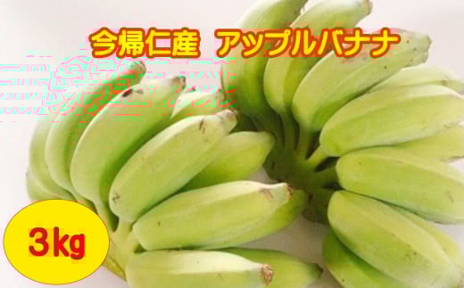 yꌧAmzAmYAbvoiii_sgpj3s