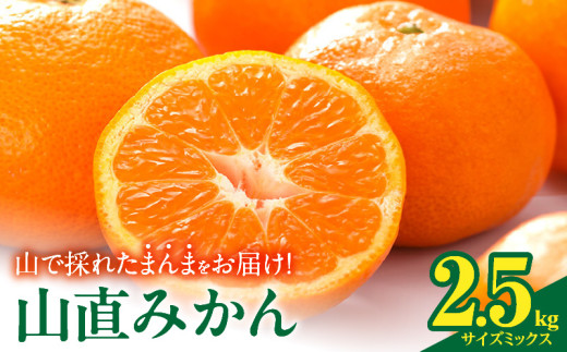 ya̎R󒬁zMK1037_݂ R璼  2.5kg ( e 2.3kg ) NxD悲낲Ki a̎RY Yn ỷ݂z