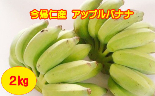 yꌧAmzAmYAbvoiii_sgpj2s
