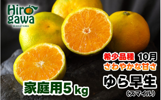 【和歌山県広川町】由良早生 みかん 訳あり 5kg / ゆら早生 温州みかん 極早生 甘い 家庭用 和歌山 柑橘 ※10月上旬〜11月上旬順次発送 ※北海道・沖縄・離島への配送不可 【sml003-yura-c5】