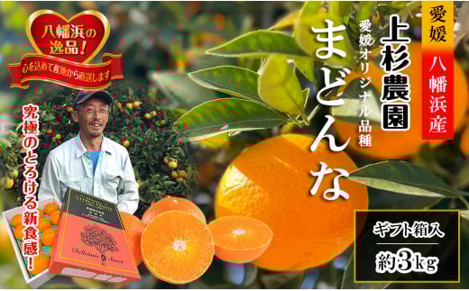 ギフト対応化粧箱入・上杉農園のぷるぷる新食感!「マドンナ」約 ギフト対応化粧箱入・上杉農園のぷるぷる新食感!「マドンナ」約