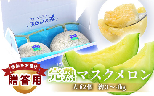 高級アールスメロン4個入り 静岡高級アールスメロン4玉 8000gあっぷ 食品