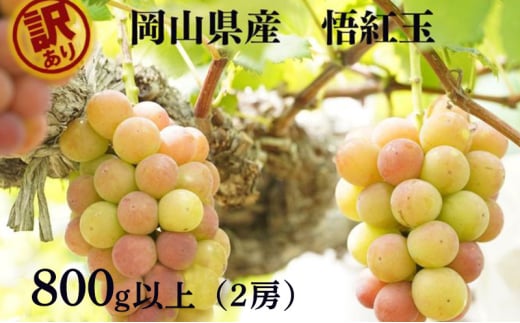 yR˓sz󂠂 g  Sr[ 2[ v800gȏ Yn ̂ Ԃǂ  R Kawahara Green Farm RY 2026N s\ [5735-3294]