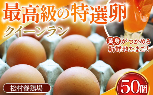 yʌszg߂VNn܂ NC[ ԋ 50 No.099