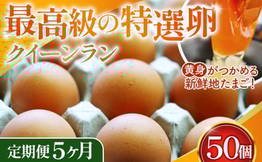 yʌszg߂VNn܂NC[ ԋ50s5t No.227