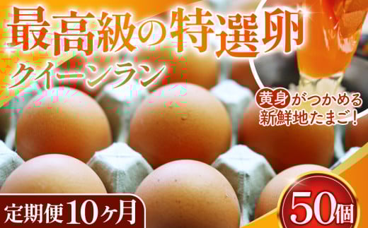 yʌszg߂VNn܂NC[ ԋ50s10t No.280