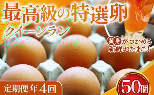 yʌszg߂VNn܂NC[ ԋ50s֔N4t No.213