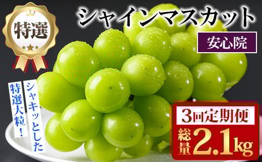 y啪FszցES3(A)IVC}XJbg(2.1kgE700g×3)VC}XJbg Ԃǂ  t[c ʕ  ʎ Is\tI2026N8{