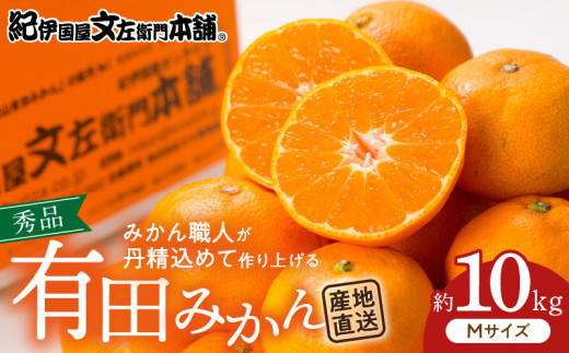 ya̎R󒬁zV7433_uhLc݂ylzGi10kg^Yn^ŊÂa̎RY^Iɍq{܁i͂wsj