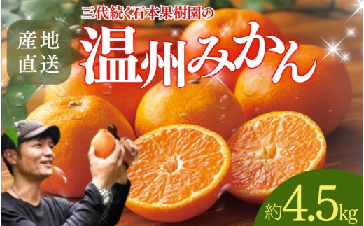 全12回】 柑橘 定期便 石本果樹園 店主おすすめの柑橘セットを 全12回】 柑橘 定期便 石本果樹園 店主おすすめの柑橘セットを