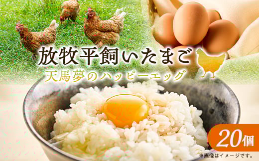 y錧zVñnbs[GbO 20y1595009z