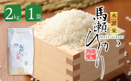 岐阜県産 米 みいたん 岐阜県産 米 みいたん 岐阜のお米 | JA全農 岐阜県本部