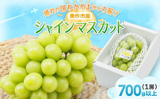2026年先行受付＞岡山県美作市産 シャインマスカット 1房(700g以上)_