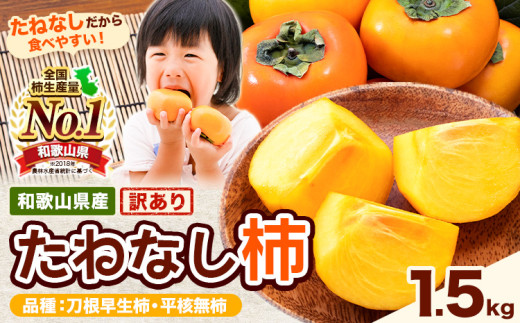 ご家庭用/訳あり】たねなし柿 約1.5kg《2026年9月中旬-11月上旬頃より