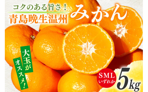 期間限定発送】 みかん 5kg コクのある甘さ うまぁ〜い！！青島晩生