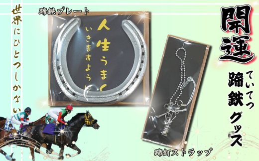 開運！蹄鉄（ていてつ）グッズ [No.1045] ／ 競走馬 馬頭観音 蹄釘