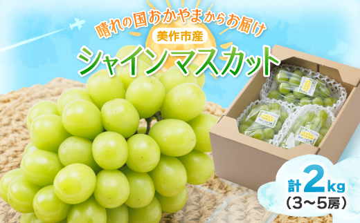 岡山県産シャインマスカット 2房 贈答用】 岡山県産シャインマスカット 2房（1000g以上） | agrisfarm