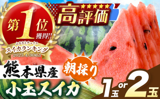 送料無料　【予約受付】5月上旬~順次出荷【熊本】2玉　小玉すいか「ひとりじめ」 スイカ 小玉すいか 熊本 ひとりじめ 2玉セット 1玉あたり約2kg