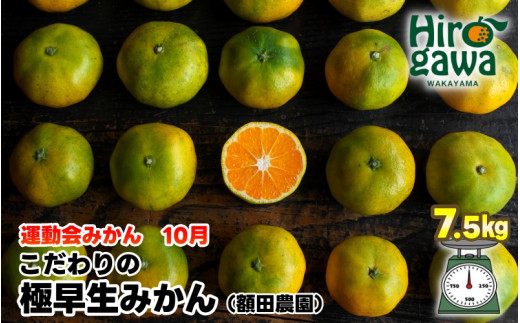 ▽有田みかん 「木箱姫」 ※11月上旬～翌年2月中旬頃に順次発送