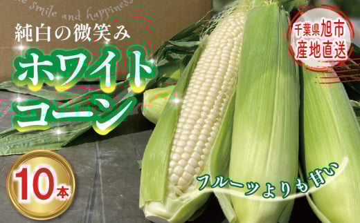 【千葉県旭市】【先行予約】 白 とうもろこし 10本 約3.2kg〜4.8kg ホワイトコーン 2026年7月中旬〜発送開始予定 数量限定 期間限定 ジューシー 甘い シャキシャキ 白い トウモロコシ コーン 白