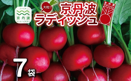 �ԗ�i�摜