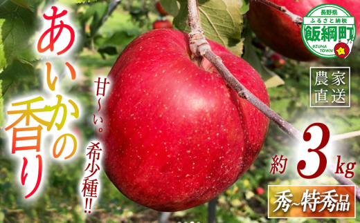 【長野県飯綱町】りんご あいかの香り 秀 〜 特秀 3kg サイズおまかせ 井澤農園 沖縄県への配送不可 2025年10月下旬頃から2025年11月下旬頃まで順次発送予定 令和7年度収穫分 エコファーマー認