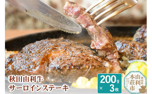 yHcR{szHcR T[CXe[L 200g×3