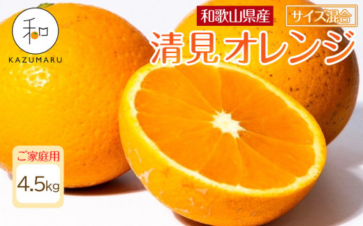 ya̎RCszƒp X{_̎I IW 4.5kg a̎RY TCY mkCEEzsnmRN22nm2026N2{5{\n