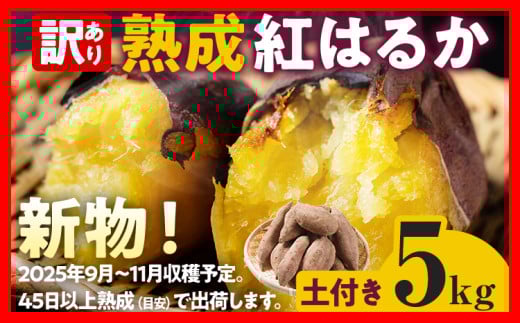 ycsz󂠂 g͂邩 n g͂邩 5kg ܂ 4000~  Tc}C yt TCYFX TCYs BY Ă ₫ Â fU[g XC[g|eg   f