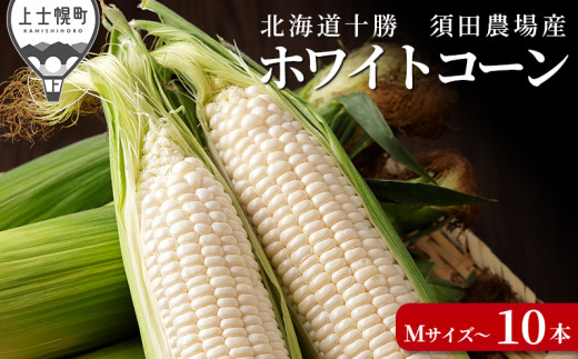 北海道産 ホワイトコーン 計10本 北海道 上士幌町 須田農場 野菜