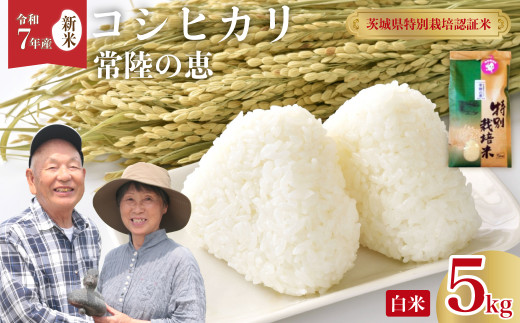 先行予約 令和7年産 新米 】特別栽培認証米 こしひかり 常陸の恵
