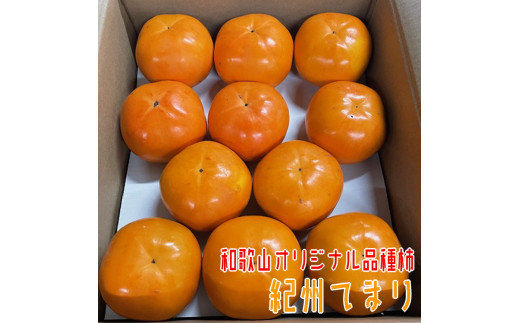 先行予約】有田育ちの濃厚柑橘詰め合わせセット(ご家庭用) 約1.5 先行予約】有田育ちの濃厚柑橘詰め合わせセット(ご家庭用) 約1.5