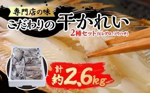 y茧{ÎszꂢX̊ꂢ[Zbgy1002477z