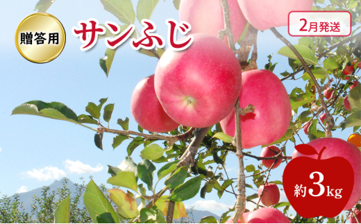 yXߓcz[5554-0237] y 2 z p Tӂ  3kg